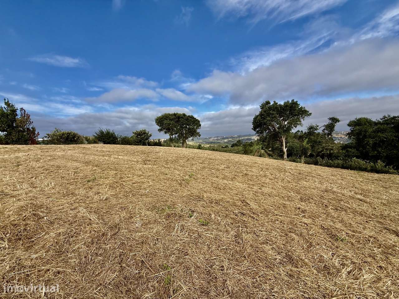 Terreno com vista panorâmica de campo - a 15 min São Martinho do Porto-8