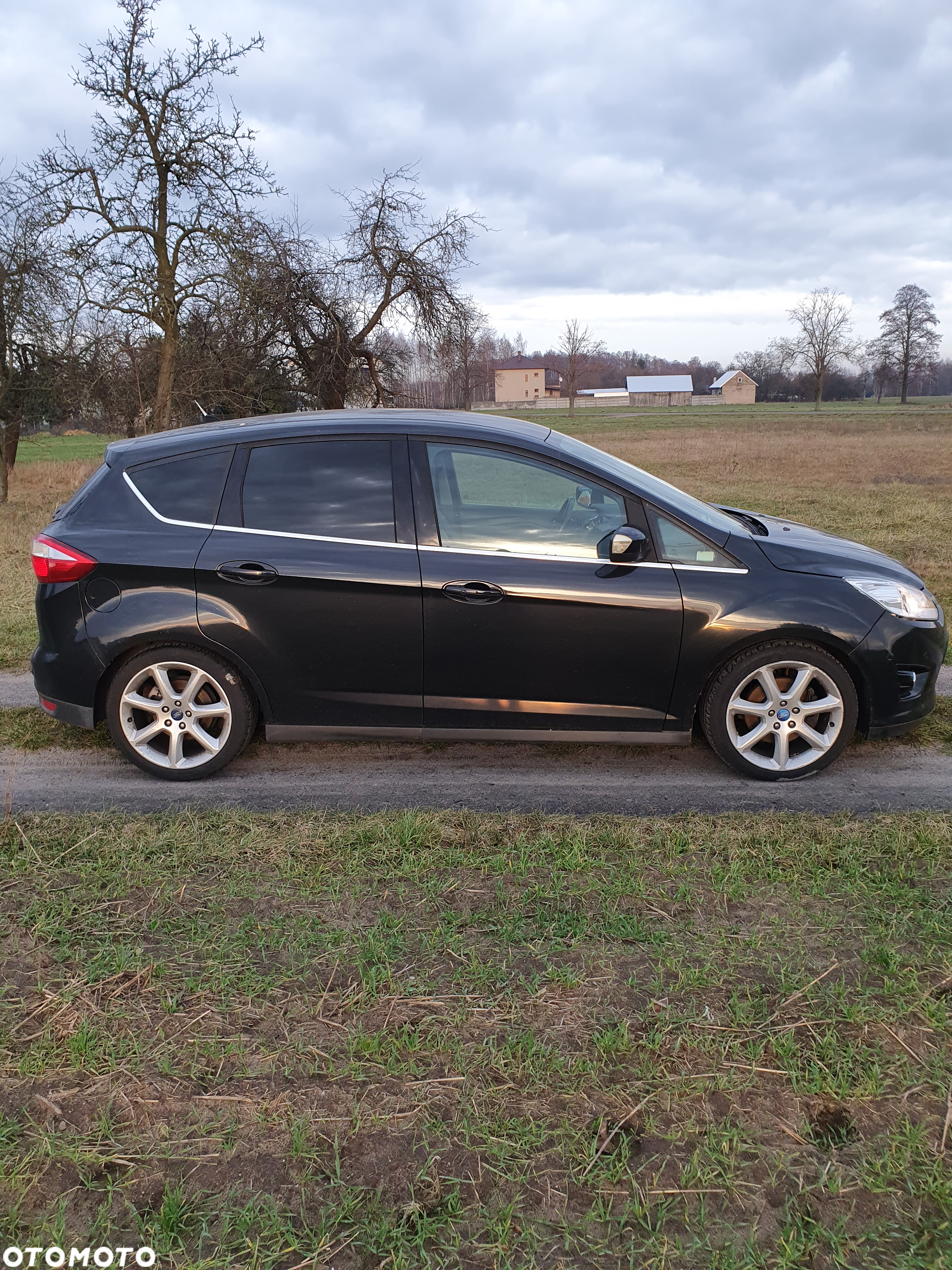 Ford C-MAX 2.0 TDCi Titanium - 2