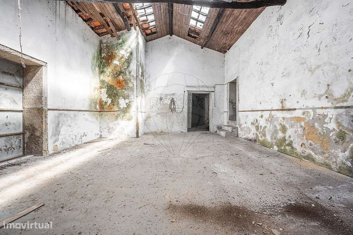 Quinta em pleno coração de Barcelinhos-23