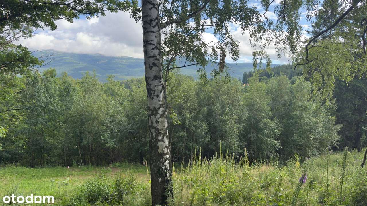 Działka budowlana z widokiem na góry | 1631 m² | PUM 700–800 m² - Pełny obrazek: 4/4