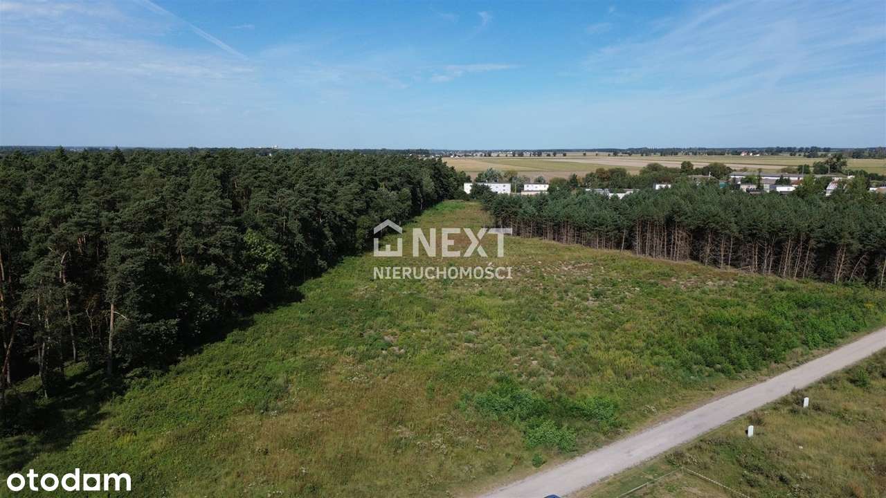 Nowy Podział Działek przy Lesie! Cisza!-3