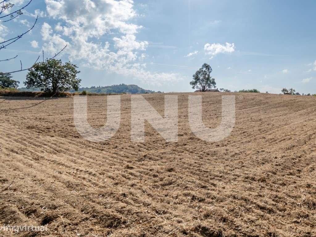Quinta com 4,41ha para venda em Caria, Belmonte! - Grande imagem: 4/21