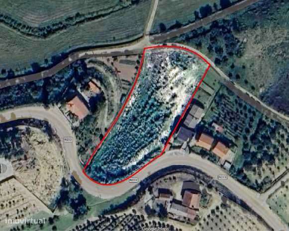 Terreno para utilização agrícola e com viabilidade de construção - Grande imagem: 4/6