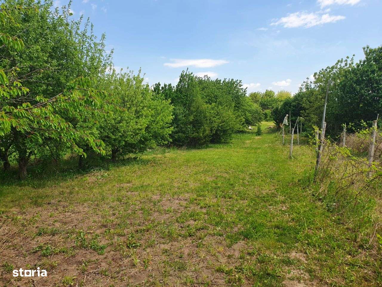 Vand Teren itarvilan Varianta Margineni - Hemeiusi - Imagine principală: 5/9