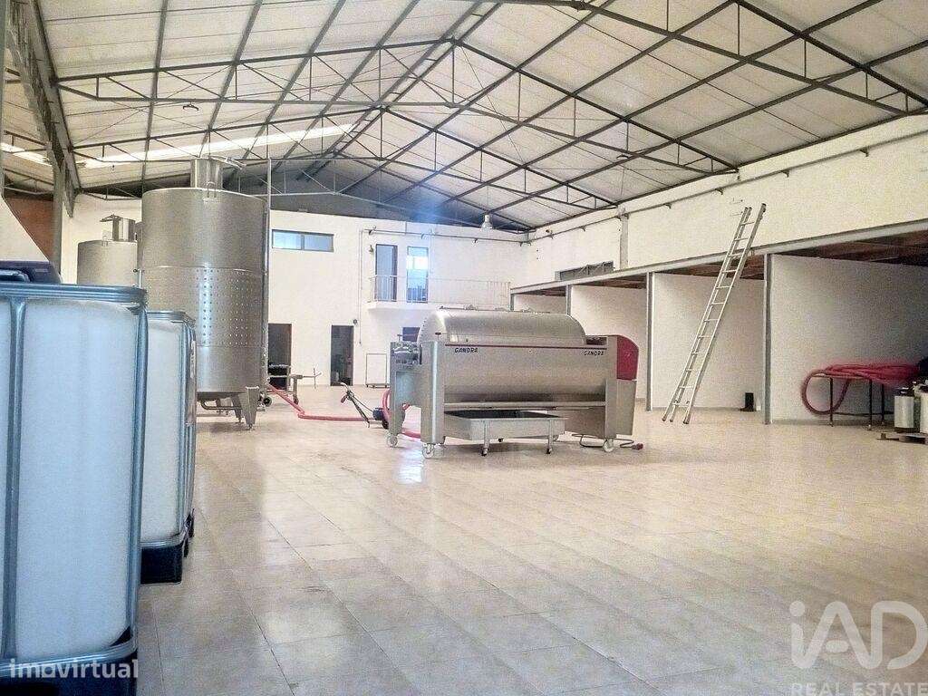 Armazém em Areias e Pias de 1200,00 m2 - Grande imagem: 5/15