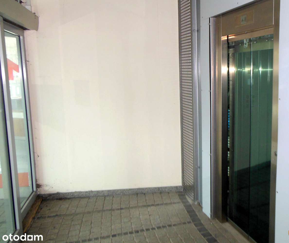 ul. Legnicka Lokal Usługowo Handlowy  IV poziomowy-19