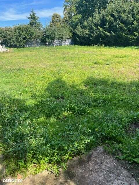 Kwilcz działka zabudowana halą i bud. biurowym - Pełny obrazek: 4/5