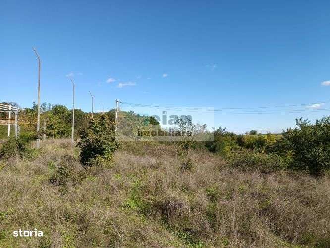 Tancabesti Stradal Dn1 Intravilan 4602mp, Dubla Deschidere 32/176/8 Ml - Imagine principală: 5/5