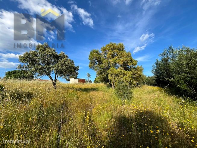 Quinta T1 Venda em Salgueiro do Campo,Castelo Branco-28