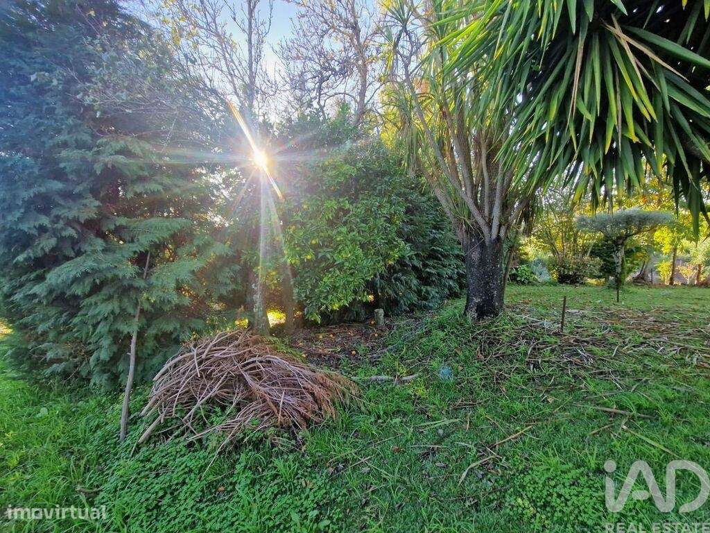 Terreno para construção em Torre e Vila Mou - Grande imagem: 3/35