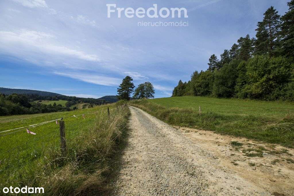 Działka - Bandrów - Bieszczady - Pełny obrazek: 5/19