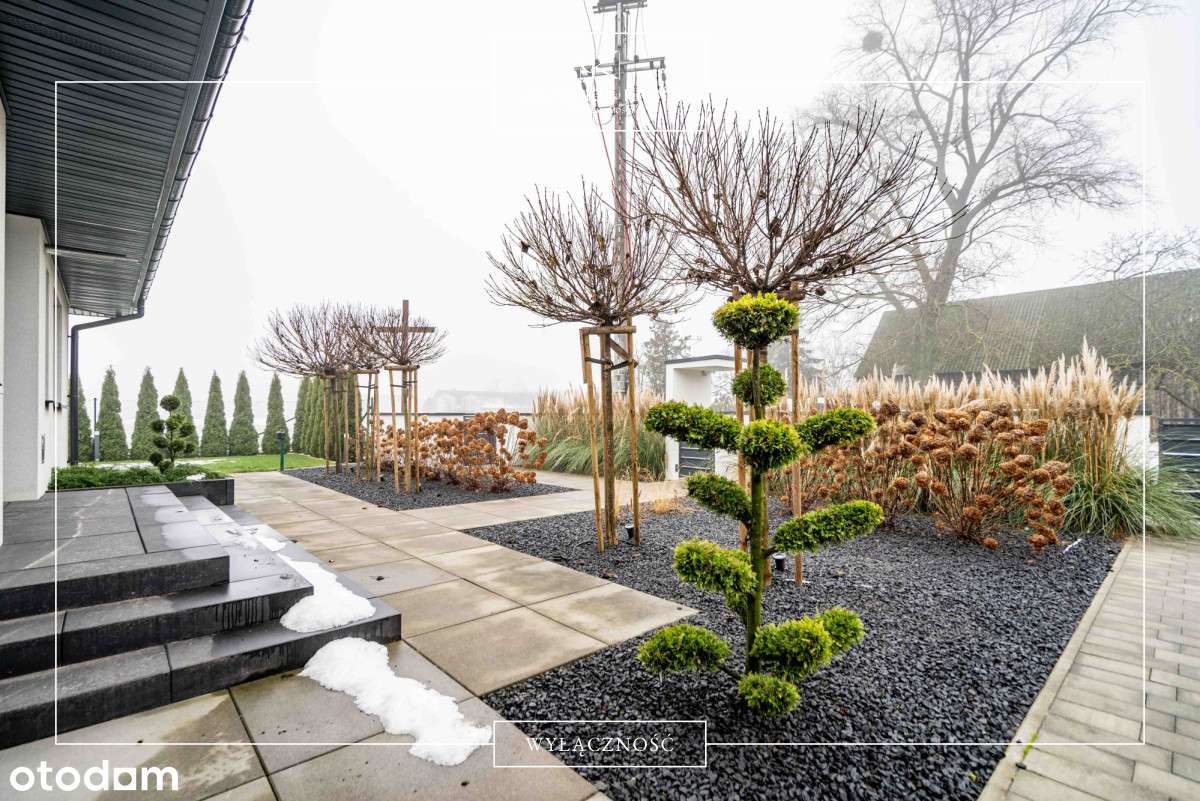 Piękna okolica! Świetna lokalizacja! - Pełny obrazek: 4/20