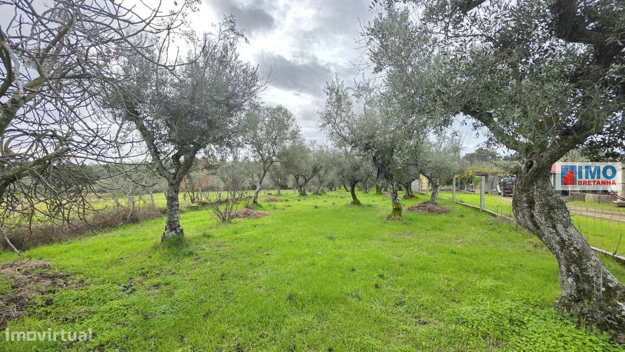 Quintinha em Póvoa de rio de Moinhos- Castelo Branco - Grande imagem: 2/12