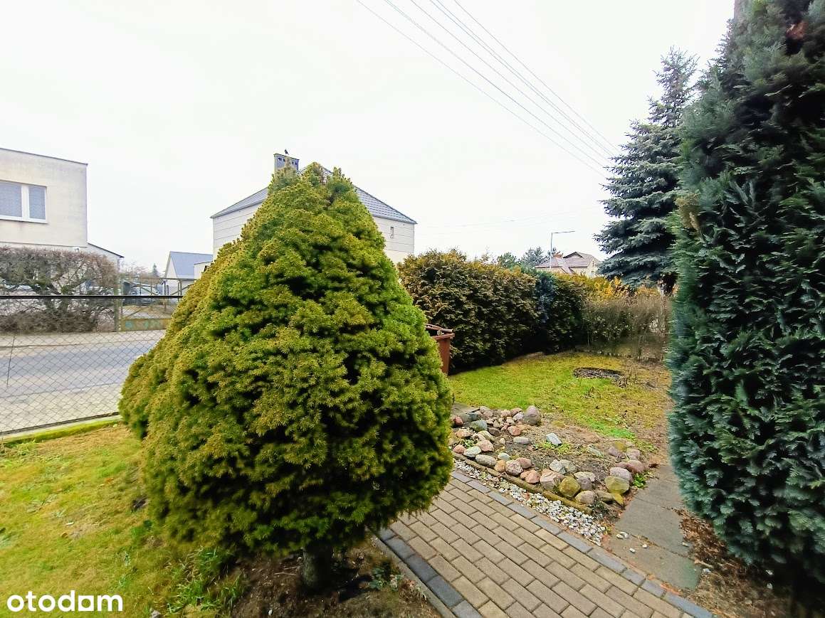 Dwa domy - 3 mieszkania +garaż i pom. gospod. IDEALNA INWESTYCJA-9