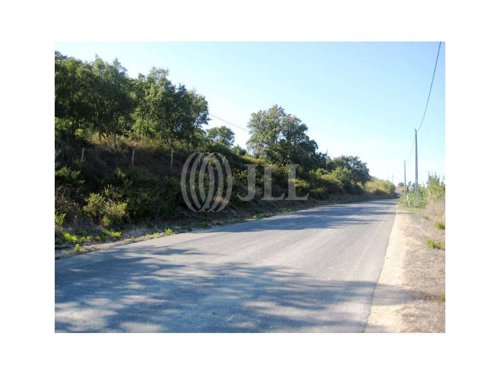 Terreno em Bucelas, Loures - Grande imagem: 4/18