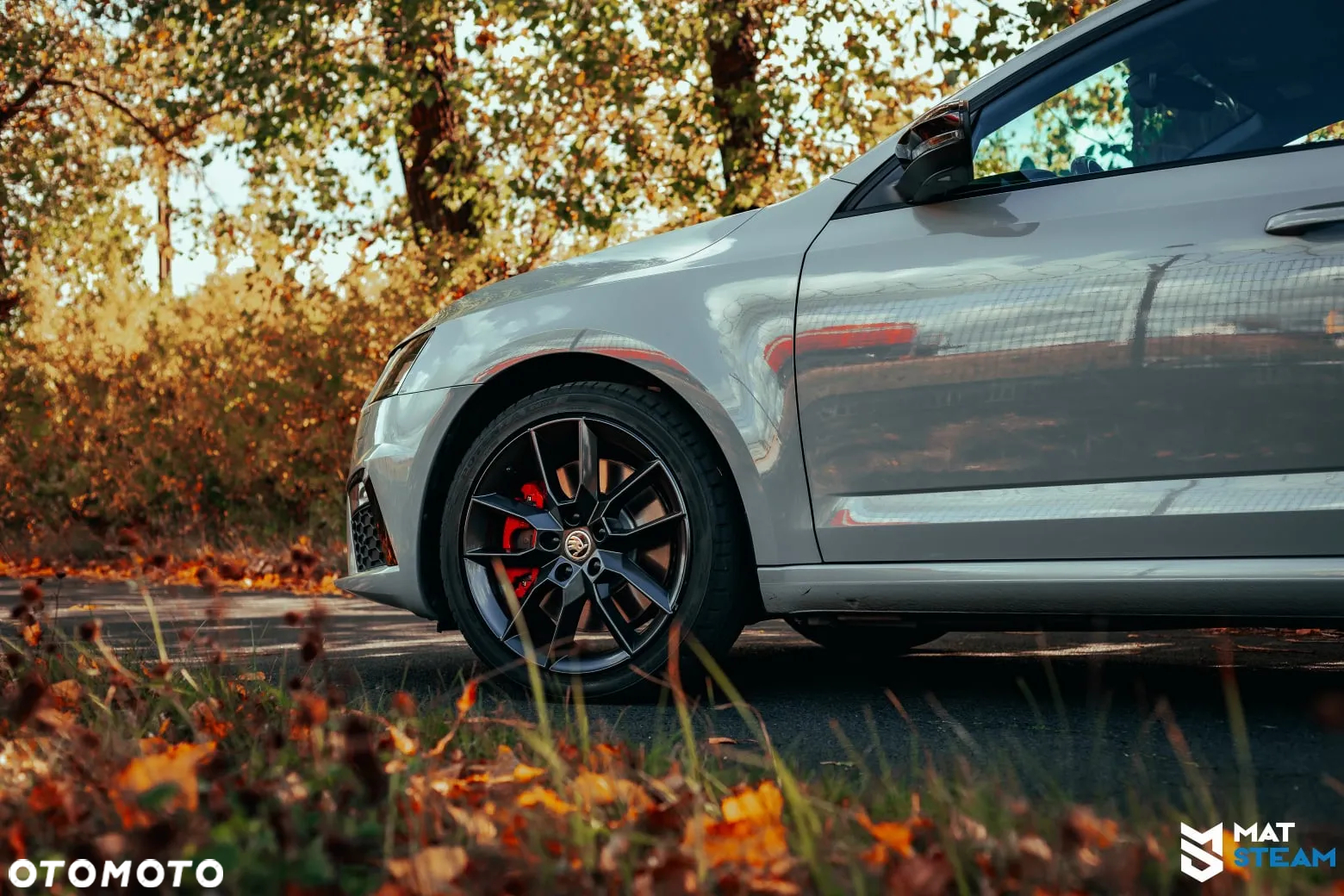 Skoda Octavia 2.0 TSI RS 230 DSG - 22