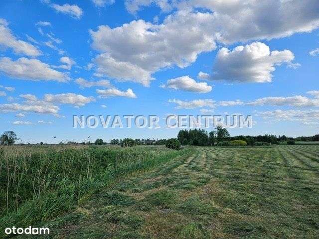 Działka z linią brzegową - Pełny obrazek: 4/5