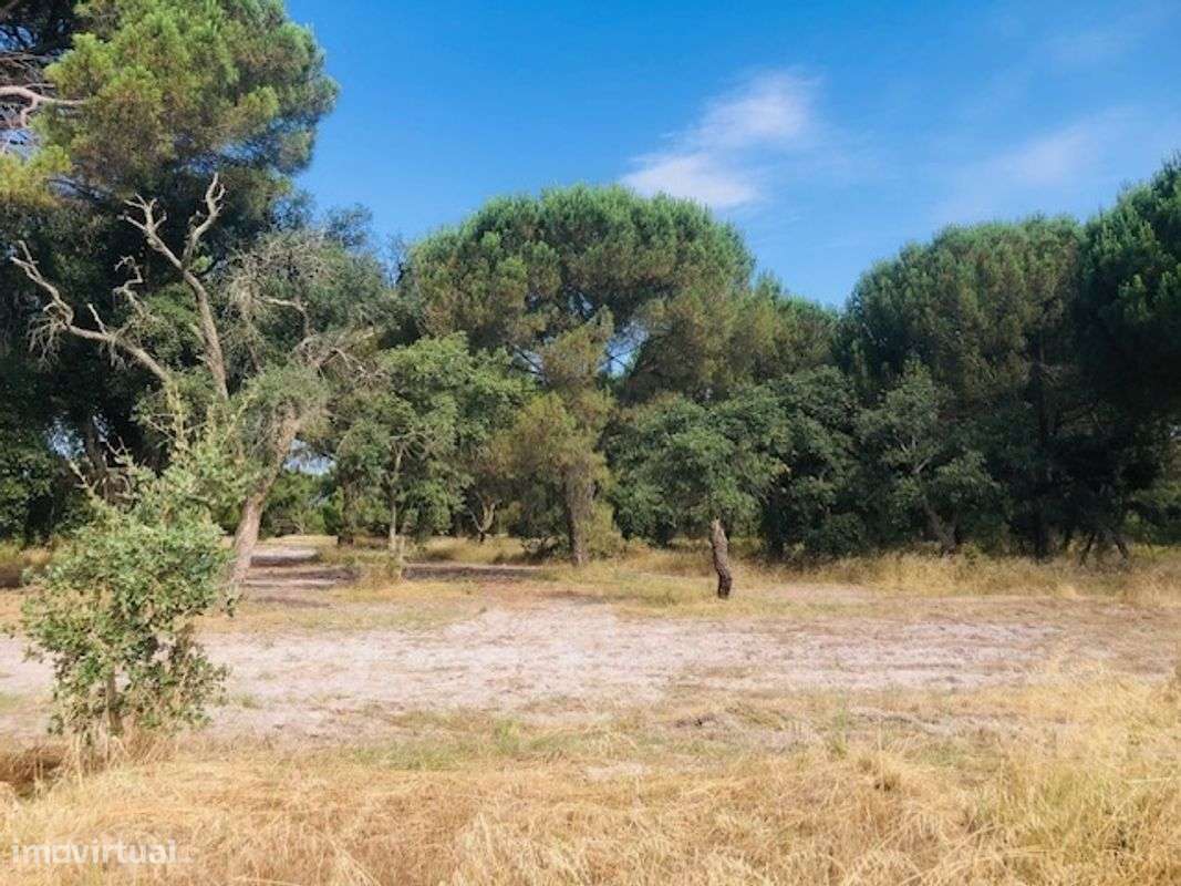 Terreno  para venda - Grande imagem: 2/6