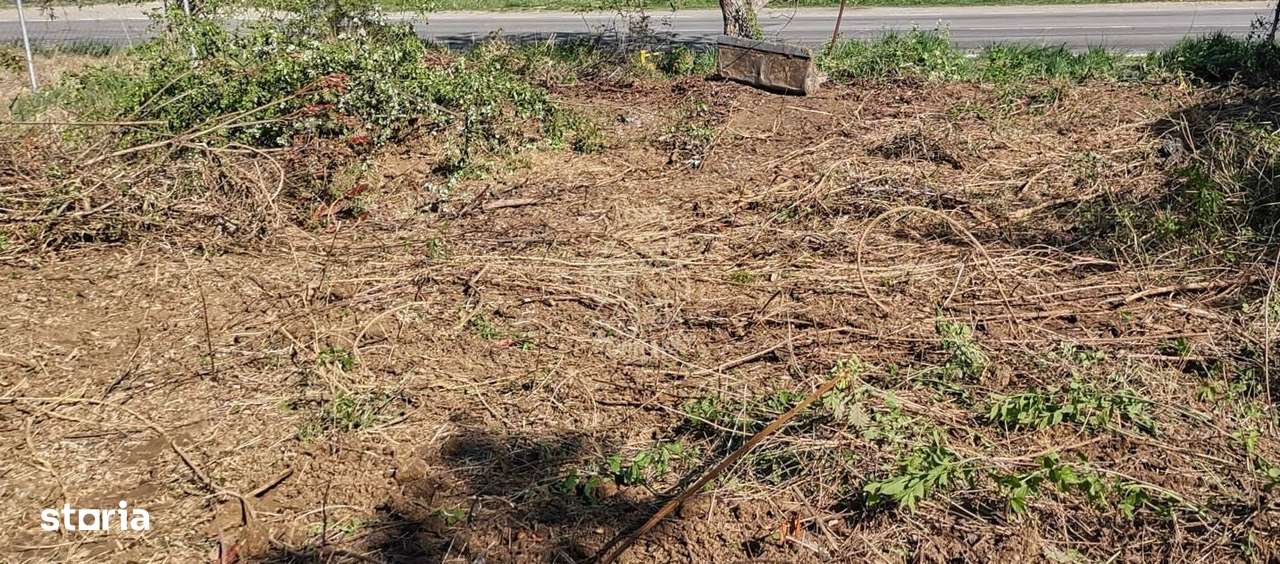 Teren intravilan 1000 mp-ideal afacere,investitie,hala-Zona Centura - Imagine principală: 3/3