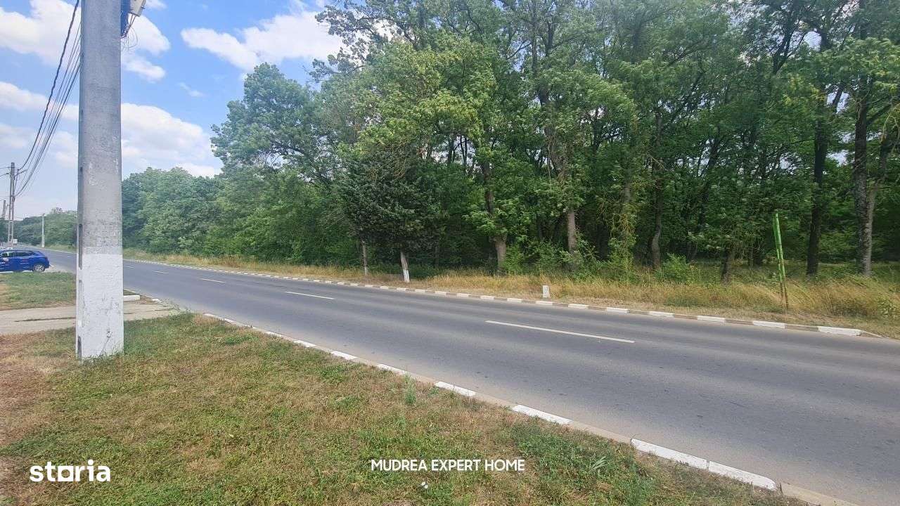 Nou | Teren Intravilan Impecabil | 2500 mp | Snagov - Imagine principală: 5/14