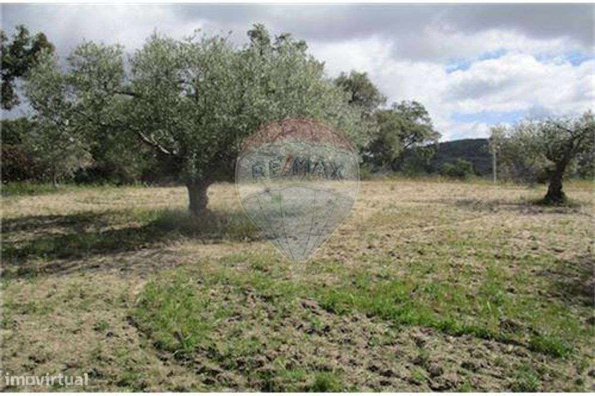 Quinta T0 para venda - Grande imagem: 4/28