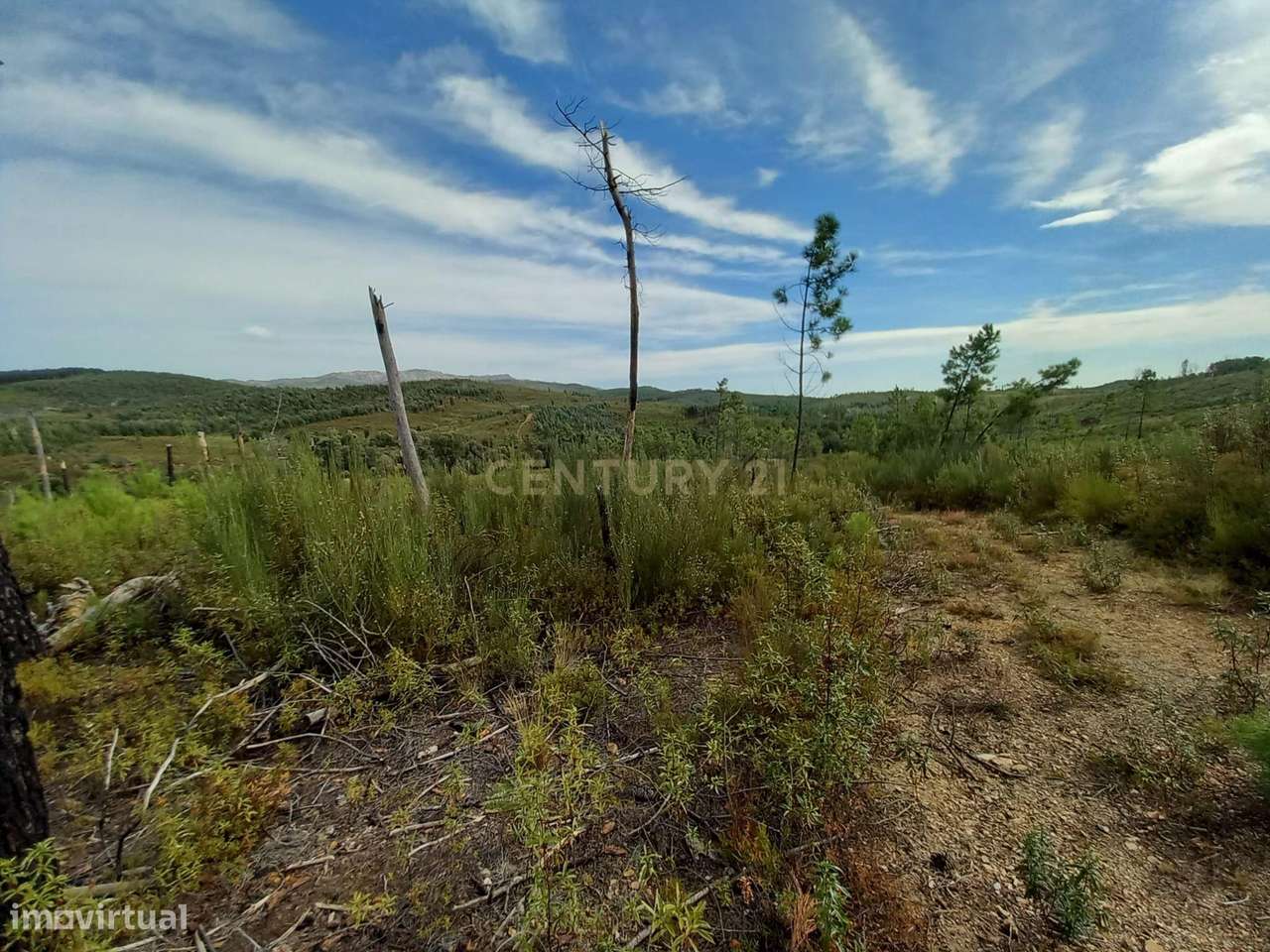 Terreno com 17040m2 em Sobral do Campo - Grande imagem: 5/9