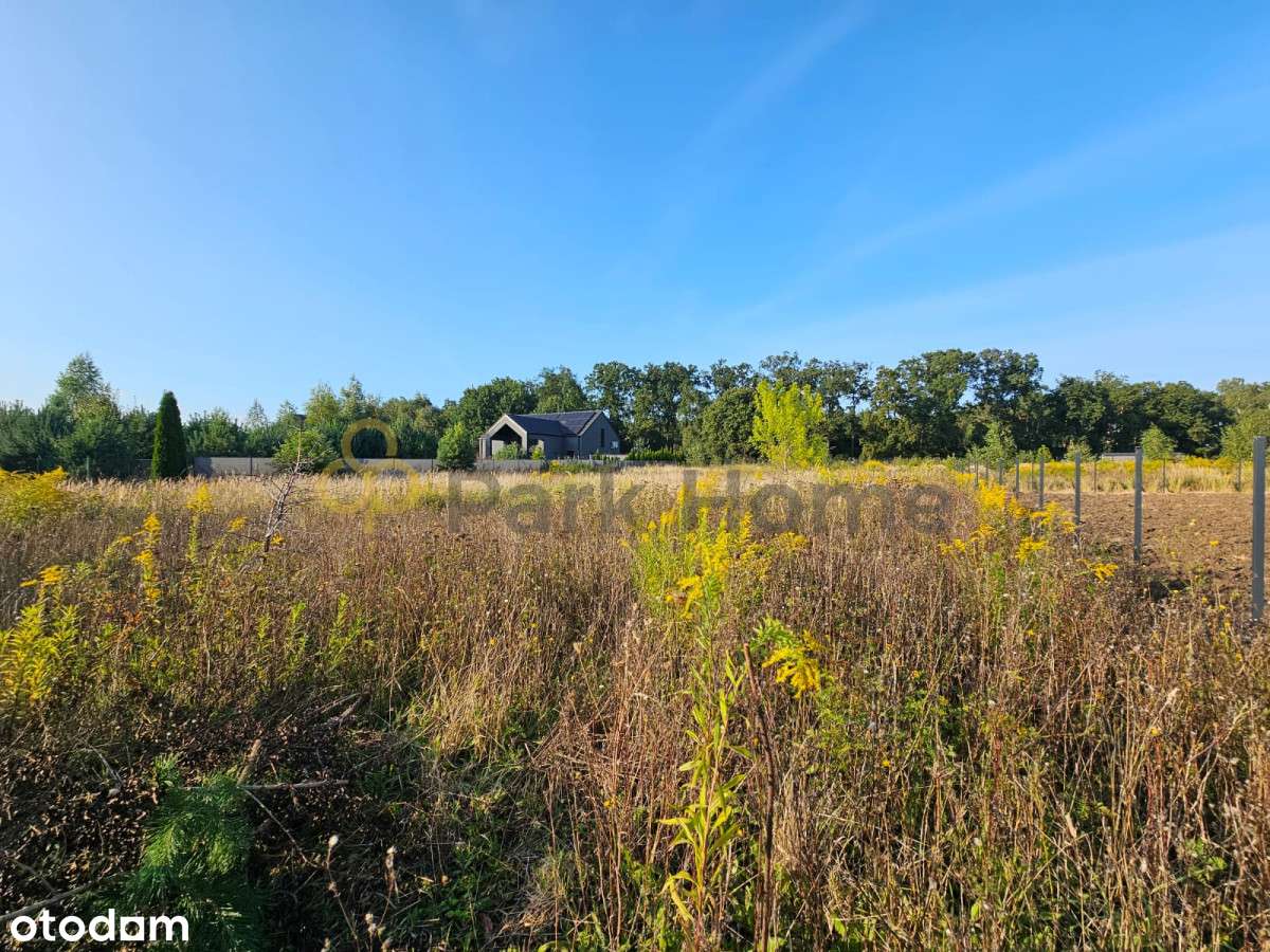 Działka w Zbrudzewie - blisko lasu I  Mpzp !!  I - Pełny obrazek: 5/8