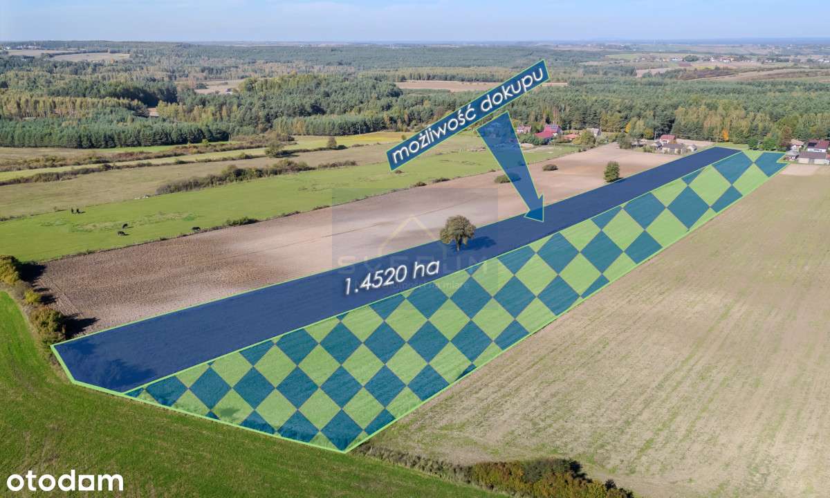 Duża działka budowlana Pabianice gm. Janów - Pełny obrazek: 5/8