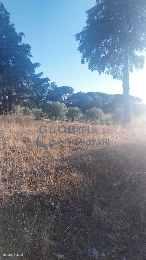 Lote de terreno para construção - Grande imagem: 5/8