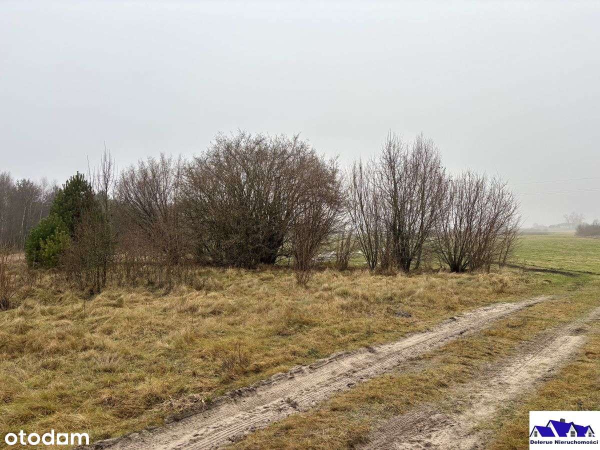 Działki budowlane gmina Czersk-14