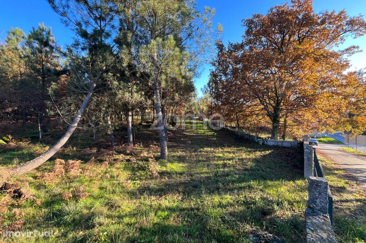 Lote Terreno em Arcas, Mões, Castro Daire, VISEU