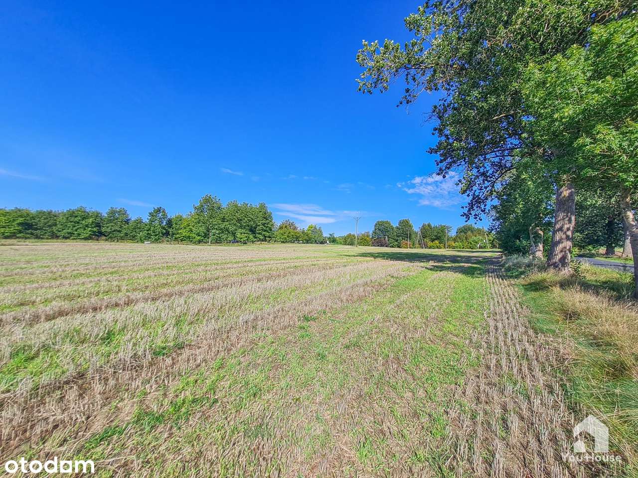 Działka budowlana 93,5 arów – Tereszewo-13