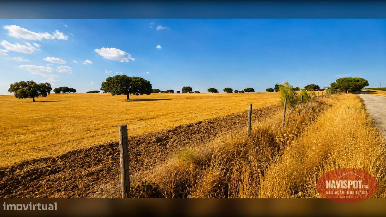 Herdade com 750 hectares no Alentejo-22