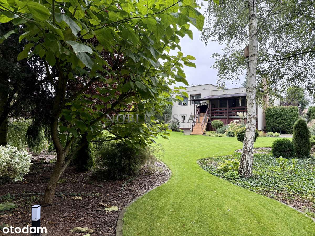 Cudowny ogród pod ścianą lasu-14