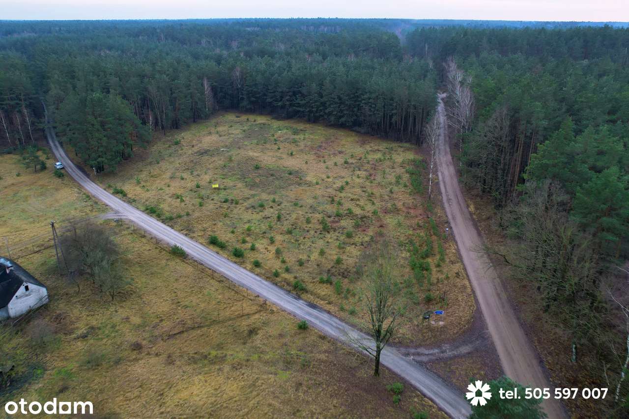 W sprzedaży działki które, usytuowane są w malowniczej otulinie lasu. - Pełny obrazek: 4/10