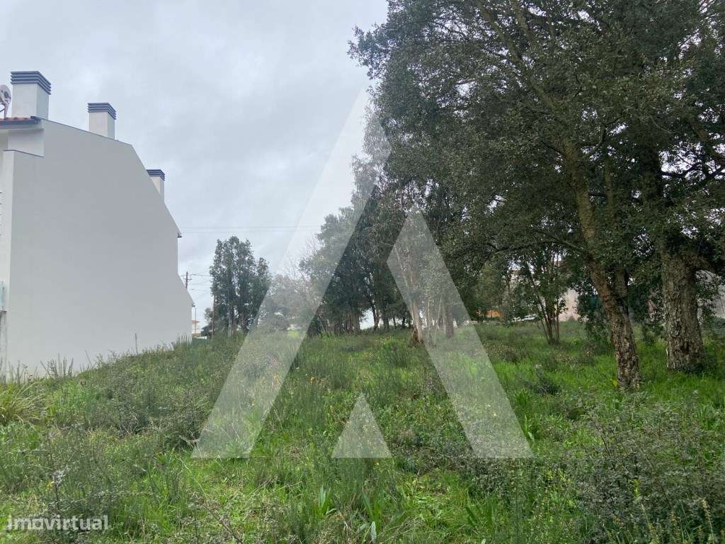 Terreno em Fermentelos - Grande imagem: 3/13