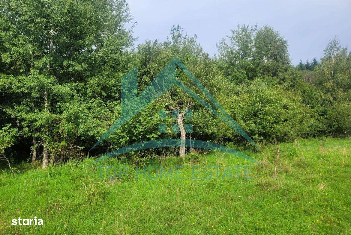 Teren pentru cabana/pensiune zona Lac Micesti!-6