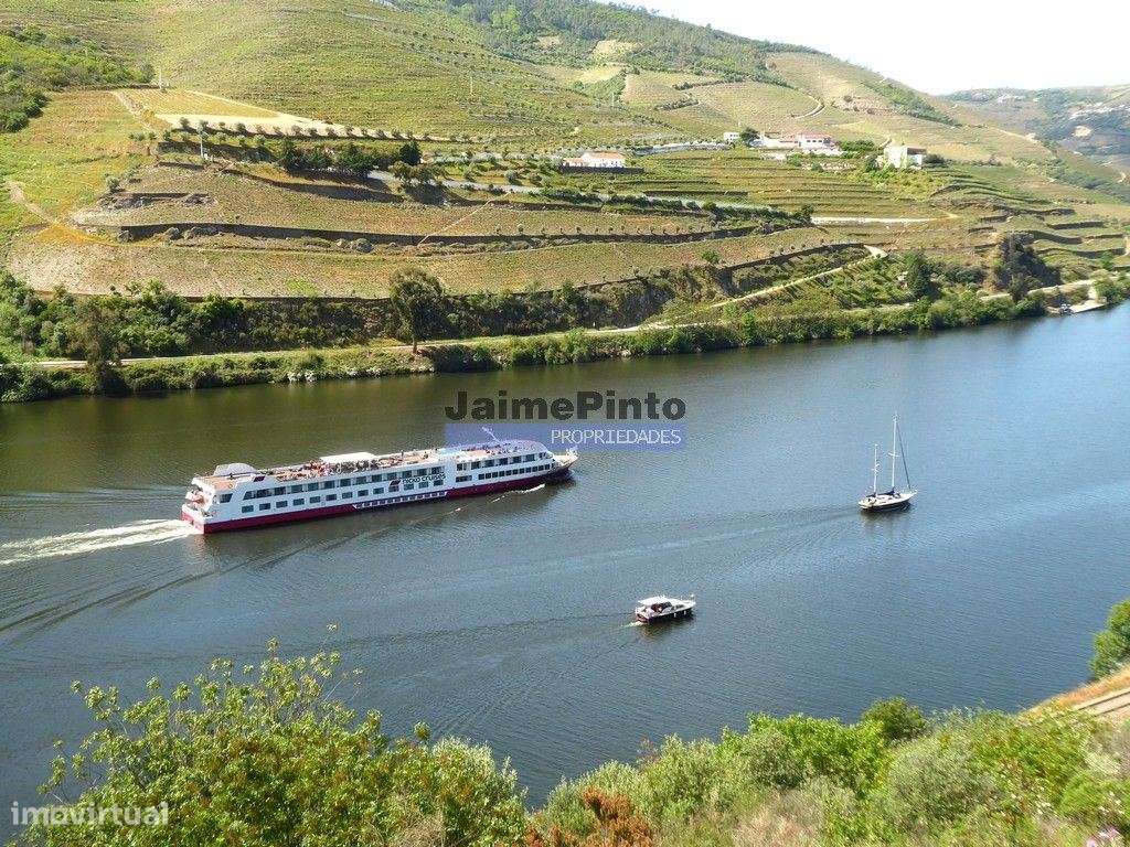 29.000m2 de terreno rústico p/ plantações novas. Portugal, Sabrosa,... - Grande imagem: 5/7