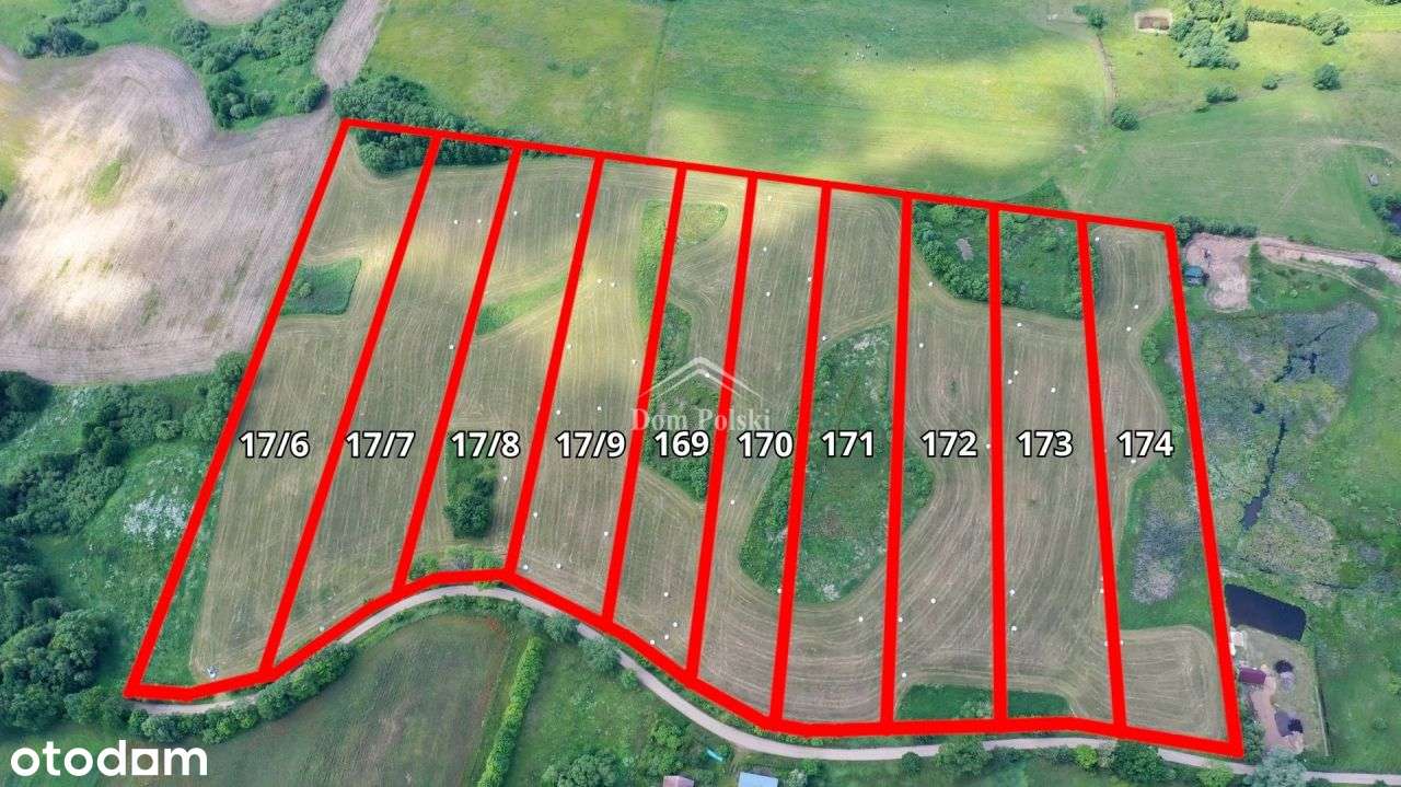 Kompleks działek w otulinie Puszczy Boreckiej - Pełny obrazek: 4/13