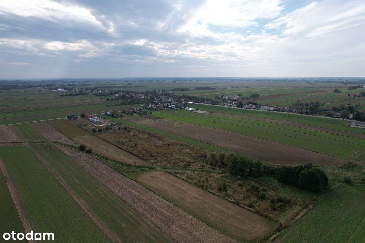 Gotowy biznes - budynek biurowy, handlowy, magazyn - Pełny obrazek: 4/14