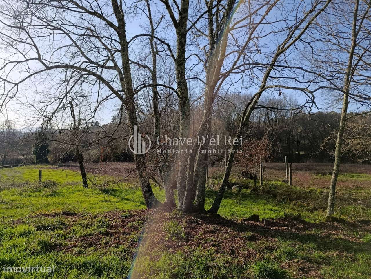 Terreno  Venda em Couto de Baixo e Couto de Cima,Viseu-6