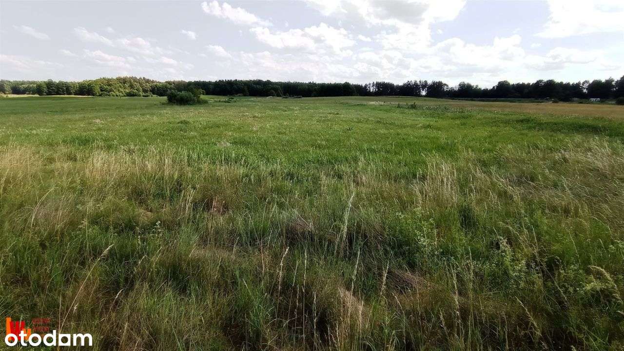 Działki Mazury, jezioro Sawinda, Czerwonka-3