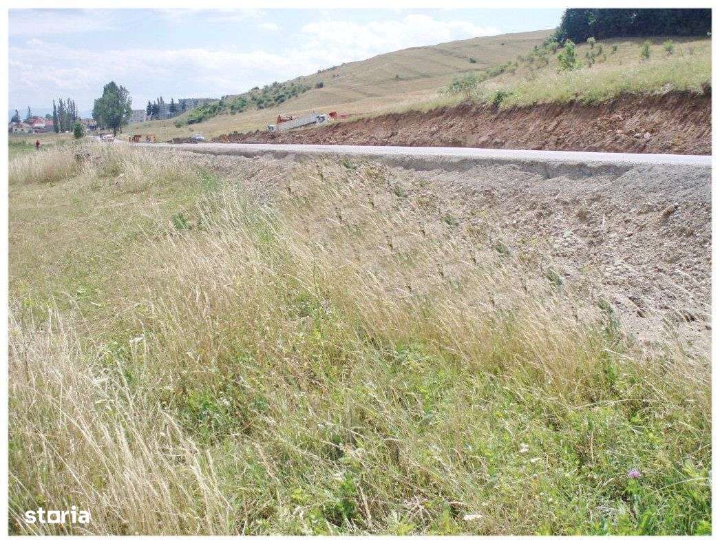 Teren 6,750mp Codlea / DN dn1 - Imagine principală: 5/8