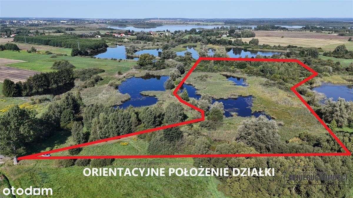 Działka siedliskowa ze stawem, pod miastem. - Pełny obrazek: 4/19