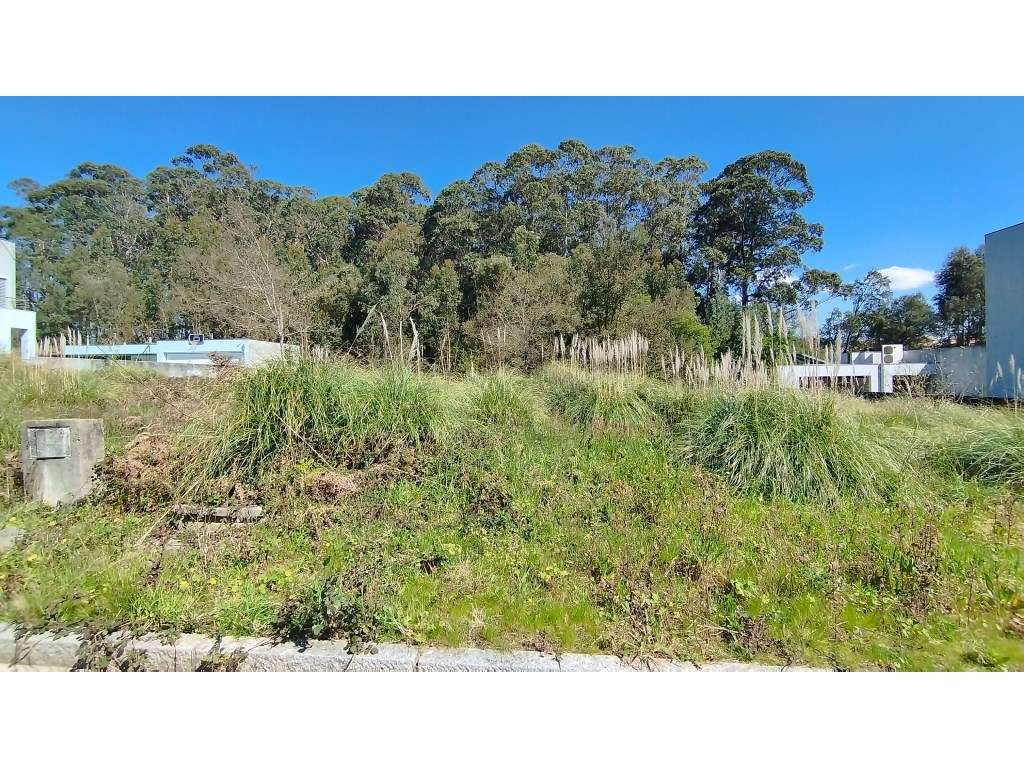 Lote Terreno Moradia 3 Frentes - Grande imagem: 4/7