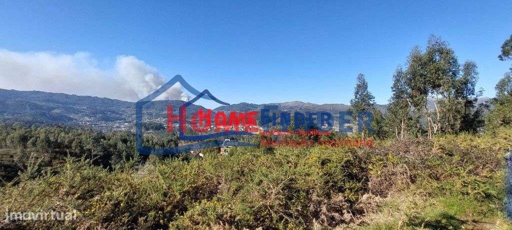 Bouça com 15.000 m² - Póvoa de Lanhoso - Grande imagem: 1/20