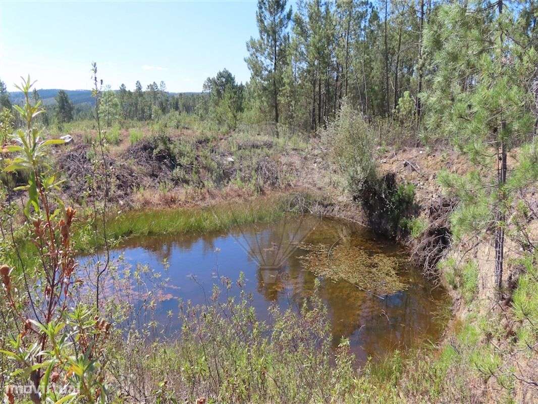 Quinta  para venda - Grande imagem: 3/27