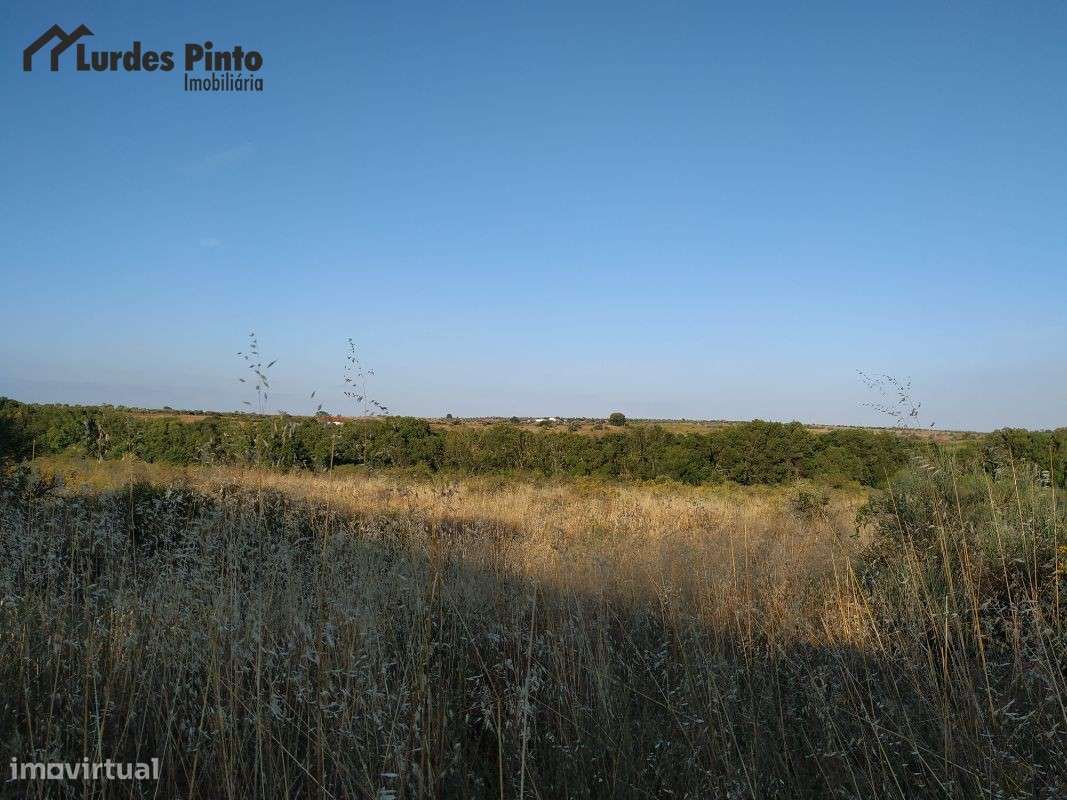 Quinta  em Castelo Branco - Grande imagem: 4/17