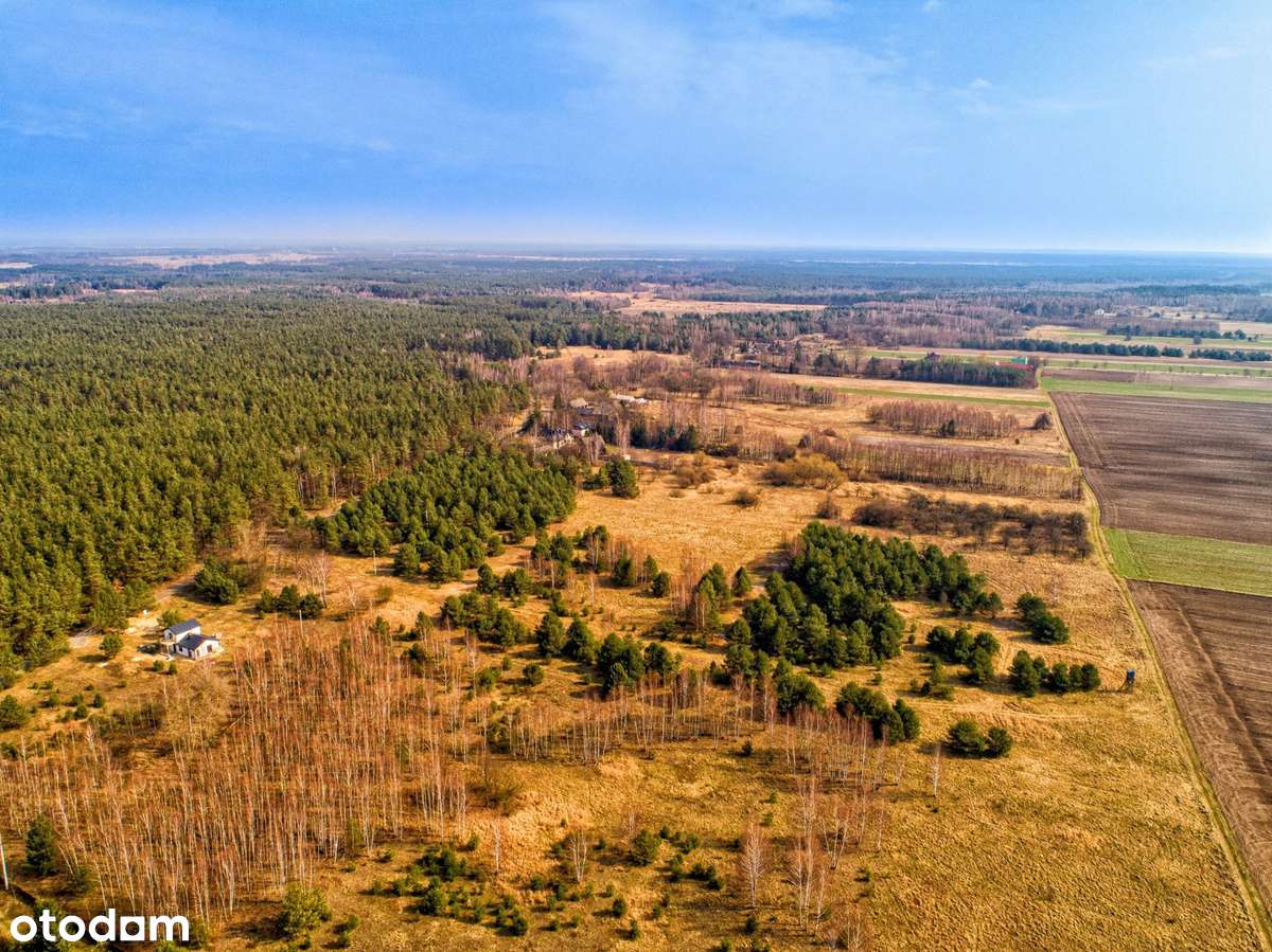 Działka 800 m² pod lasem | Mstów | MPZP | Spokojna okolica-2