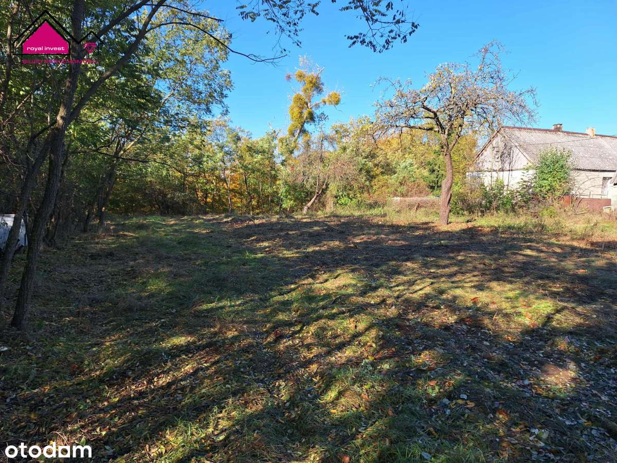 Unikatowa działka dla konesera ciszy i przestrzeni-5